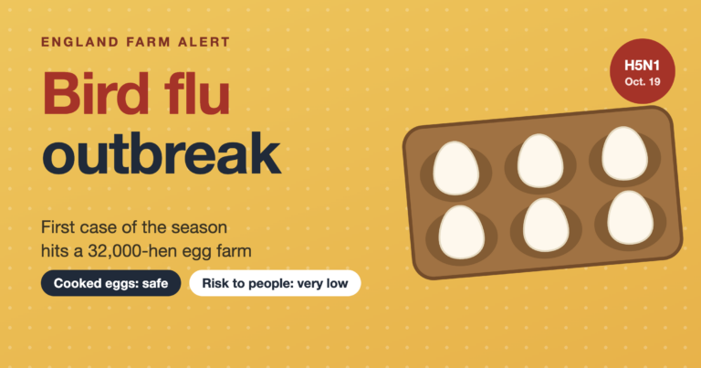 Bird flu outbreak cover: carton of six eggs with an H5N1 badge on a yellow background
